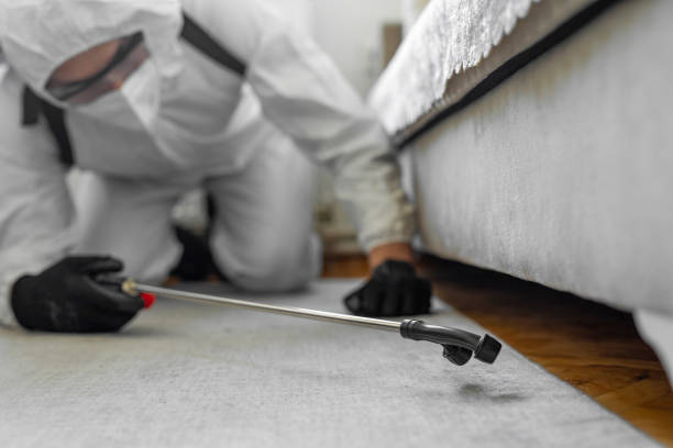 Professional Pest Control technician working in Millstadt, IL