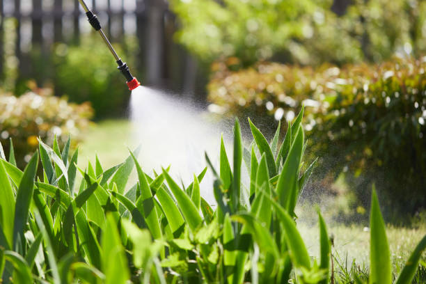 24/7 Emergency Termite Control experts in Millstadt, IL