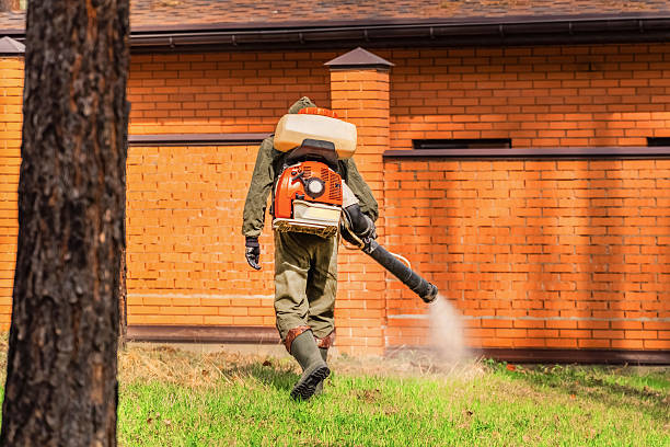 Trusted Cockroach Control service in Millstadt, IL - Nex Pest Control